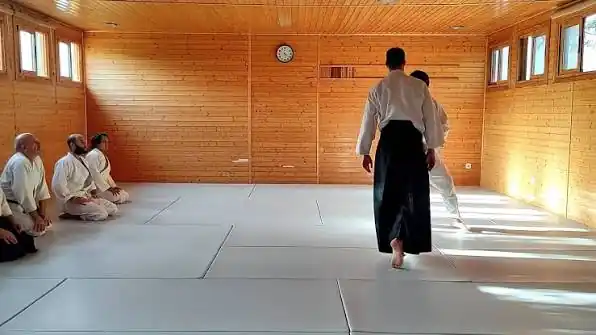 Clase de aikido en el dojo, con alumnos sentados en seiza junto al tatami